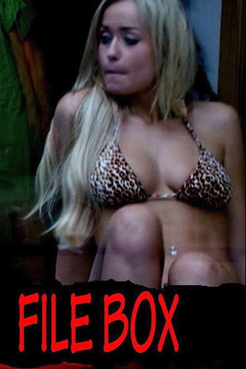 File Box (2013) poster