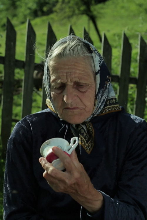 Time, Weather, Season, Spell, Tense, Epoch (2016) poster