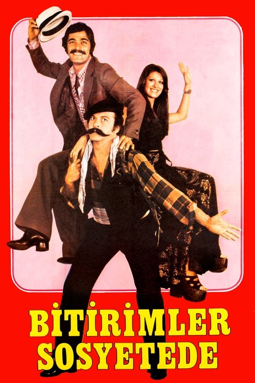 Bitirimler Sosyetede (1973) poster