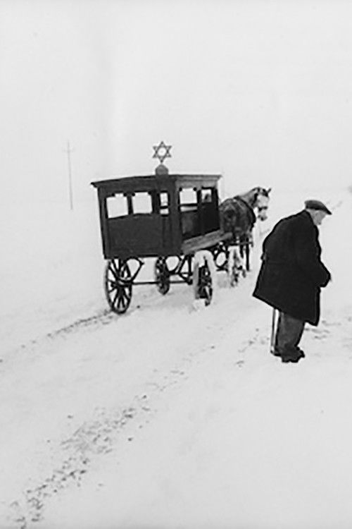 Song of Radauti (1978) poster