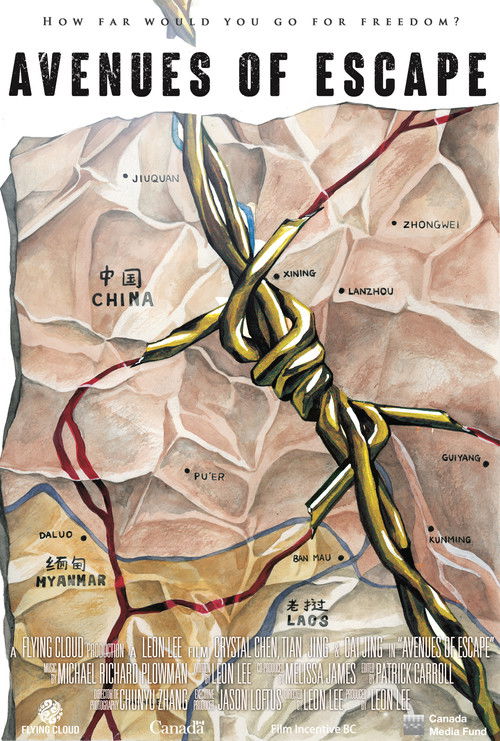 Kaçış Yolları (2017) poster