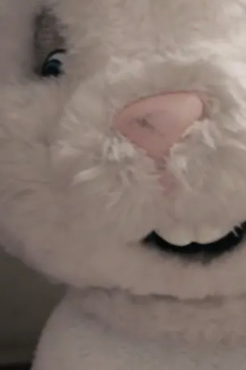 Fucked Up presents Year of the Hare (2015) poster