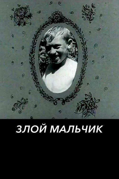 The Bad Boy (1974) poster