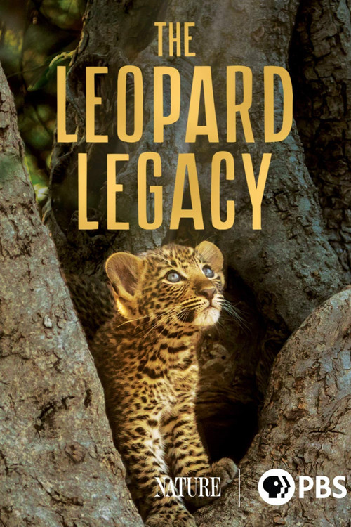 The Leopard Legacy (2020) poster