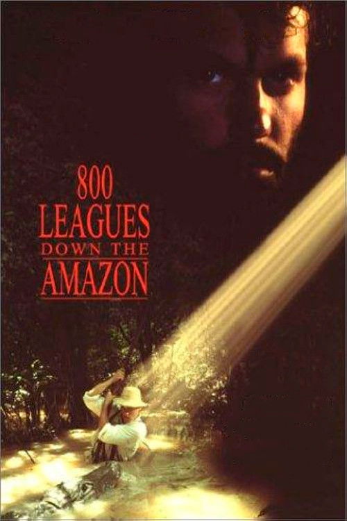 Eight Hundred Leagues Down the Amazon (1993) poster