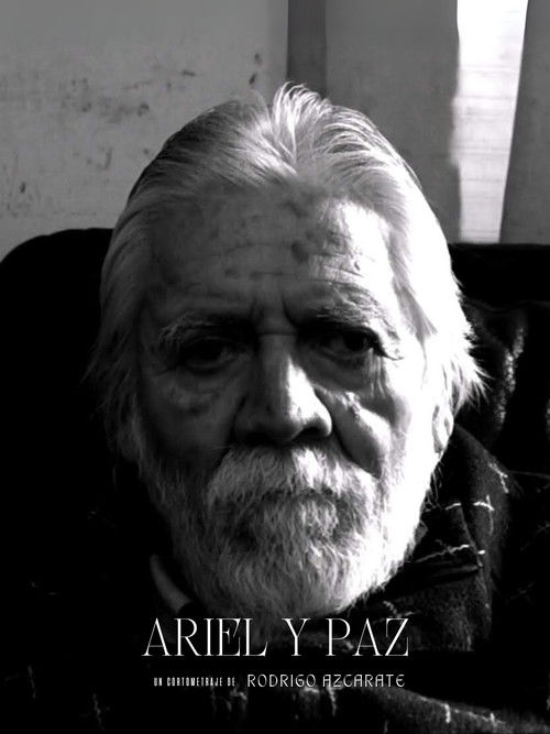 Ariel y paz (2020) poster