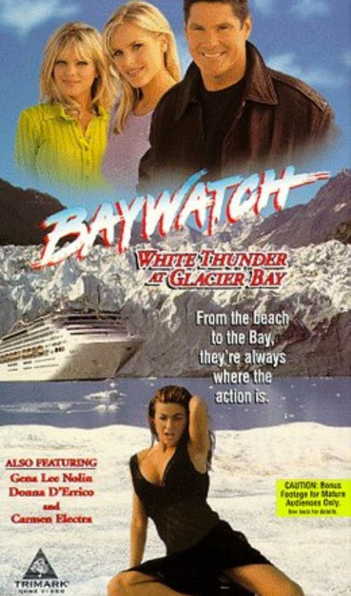 Baywatch: White Thunder at Glacier Bay (1998) poster