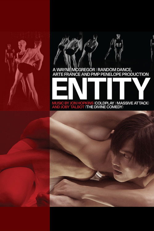 Entity (2010) poster