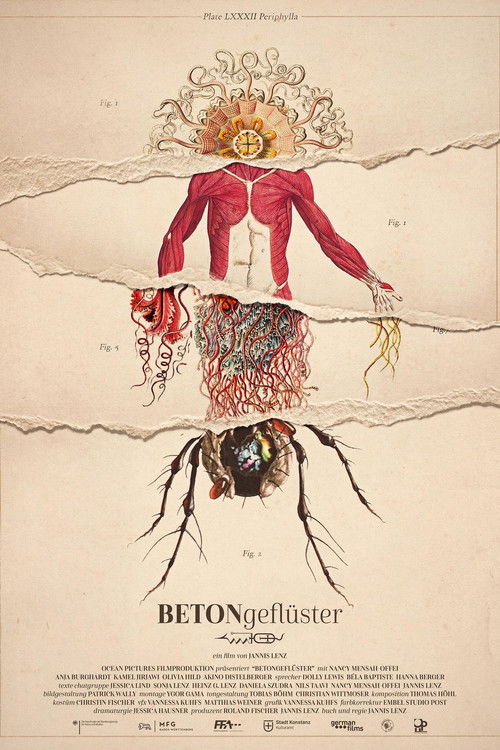 Concrete Whisper (2024) poster