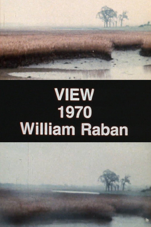 View (1970) poster