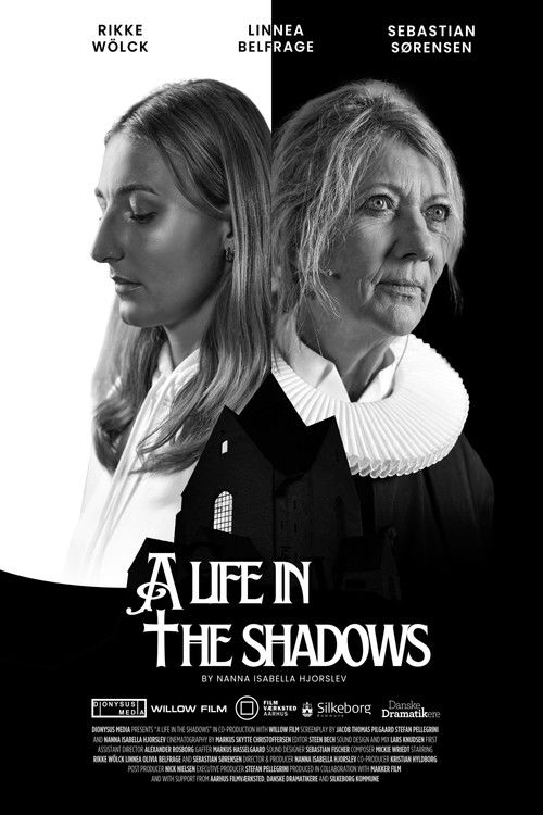 A Life In The Shadows (2025) poster