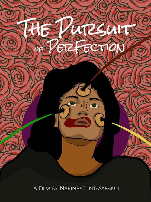 The Pursuit Of Perfection (2023) poster