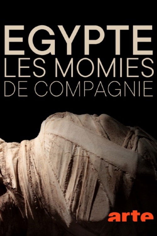 Égypte : les momies de compagnie (2020) poster