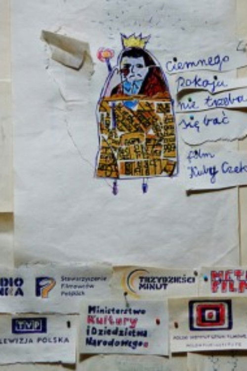 Ciemnego pokoju nie trzeba się bać (2009) poster