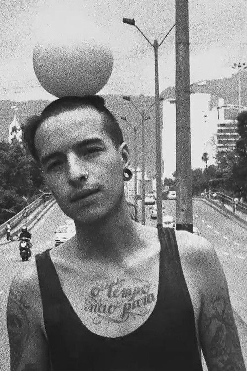 Like Shadows Growing as the Sun Goes Down (2014) poster