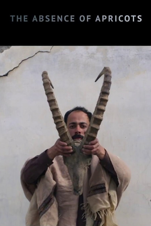 The Absence of Apricots (2019) poster