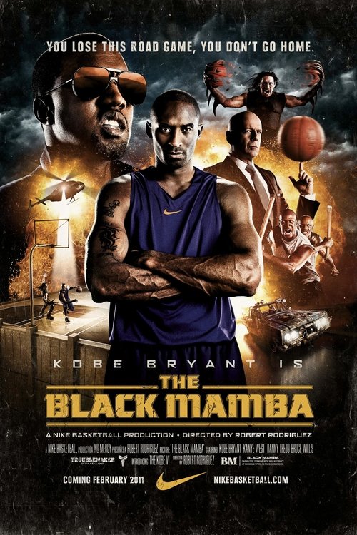 The Black Mamba (2011) poster