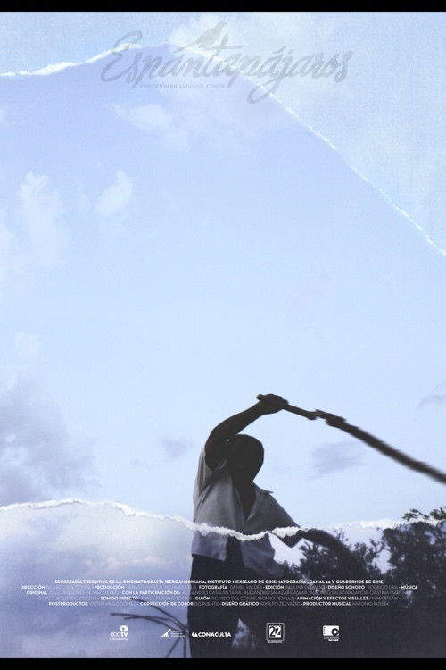 Scarecrow (2012) poster