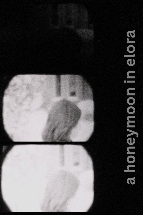 A Honeymoon in Elora (2023) poster