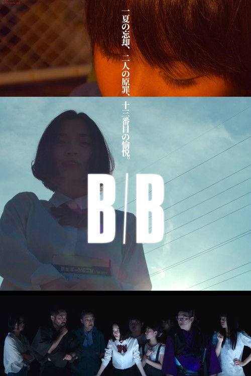 B/B (2020) poster