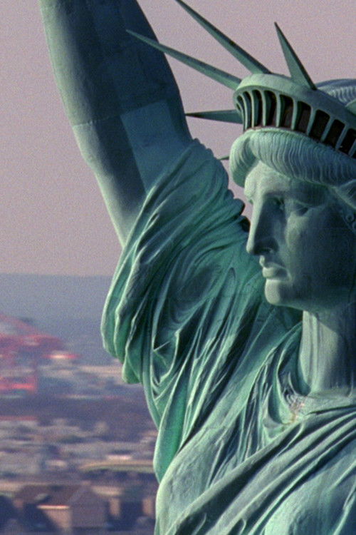 Static (2009) poster