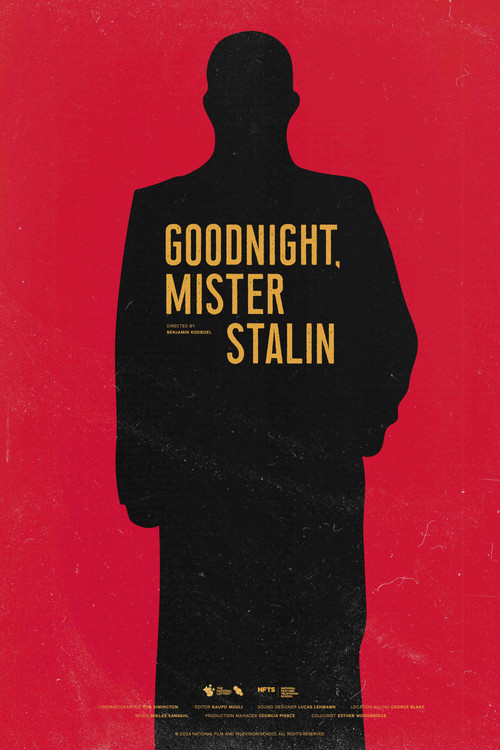 Goodnight, Mister Stalin (2024) poster