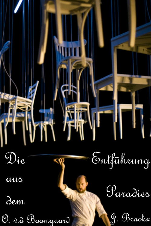 Die Entführung aus dem Paradies (2009) poster