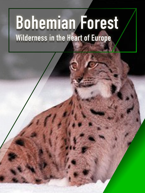 The Bohemian Forest - Wilderness in the Heart of Europe (2000) poster