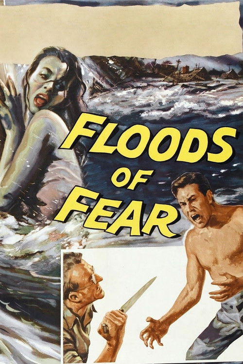 Floods of Fear (1958) poster