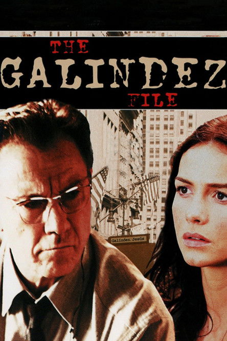 The Galíndez File (2003) poster