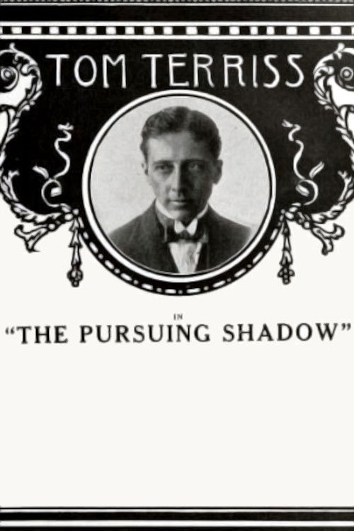The Pursuing Shadow (1915) poster