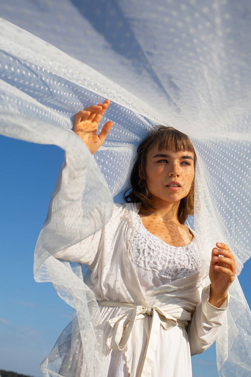 Heatwave Reverie (2023) poster