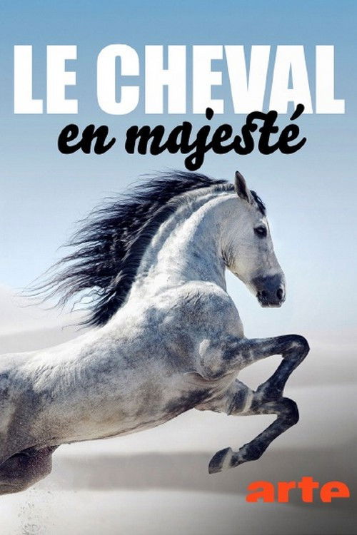 Le cheval en majesté (2024) poster