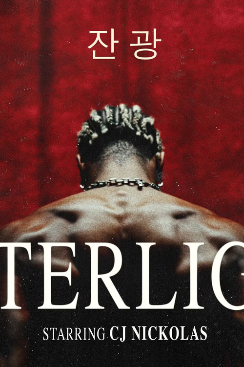 Afterlight (2025) poster