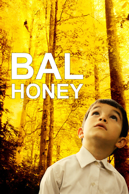 Bal (2010) poster
