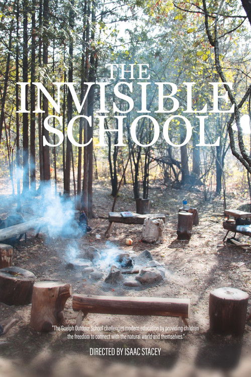 The Invisible School (2024) poster