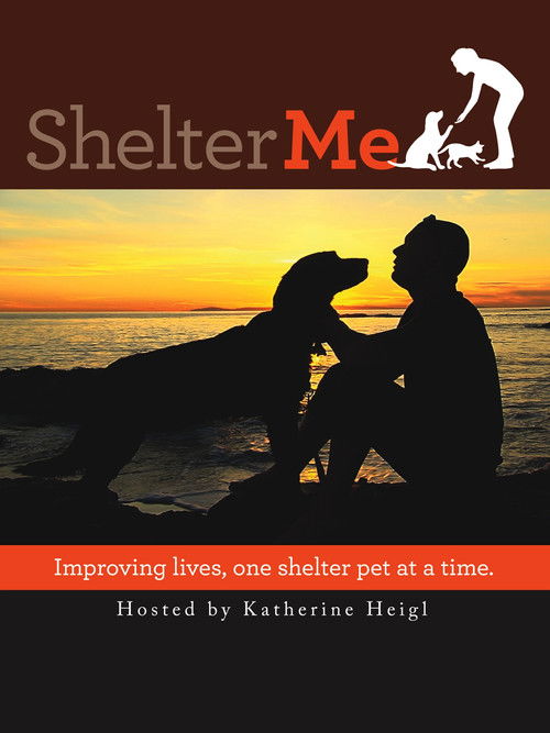 Shelter Me (2012) poster
