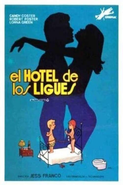 The Hotel of Love Affairs (1983) poster