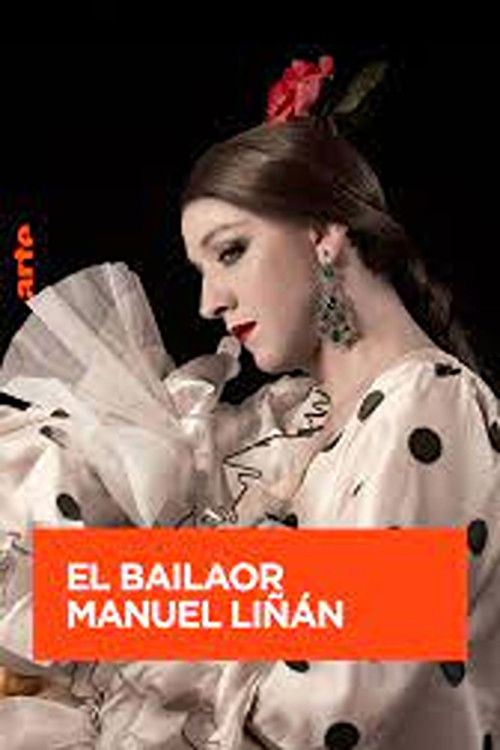 Manuel Liñán - The New Face of Flamenco (2024) poster