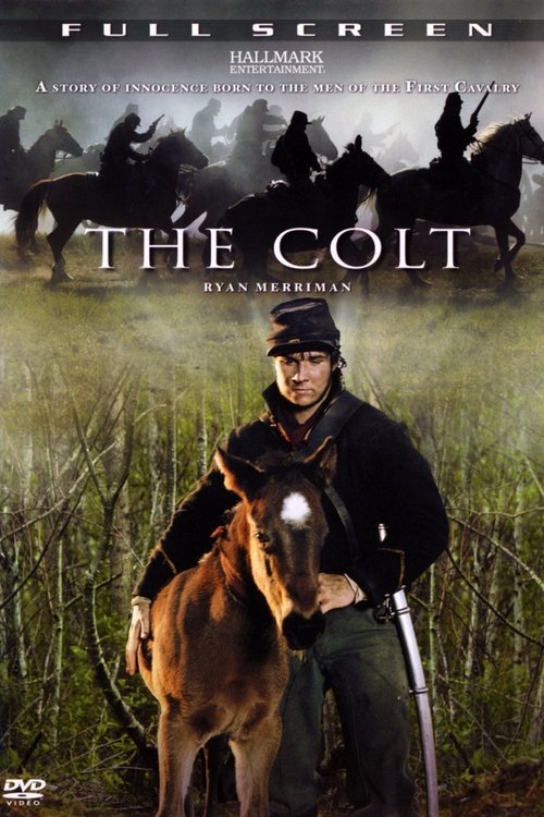 The Colt (2005) poster