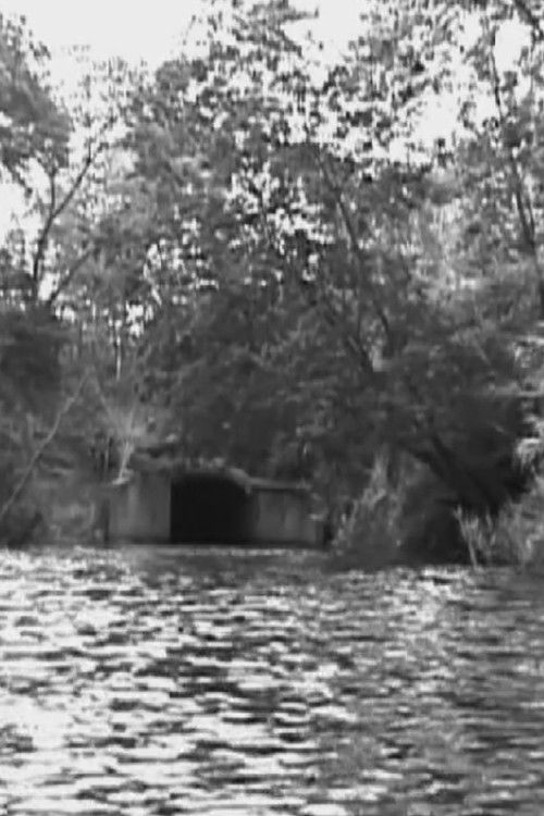 The Name is not the Thing named (2010) poster