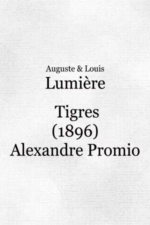 Tigers at the Zoo (1896) poster