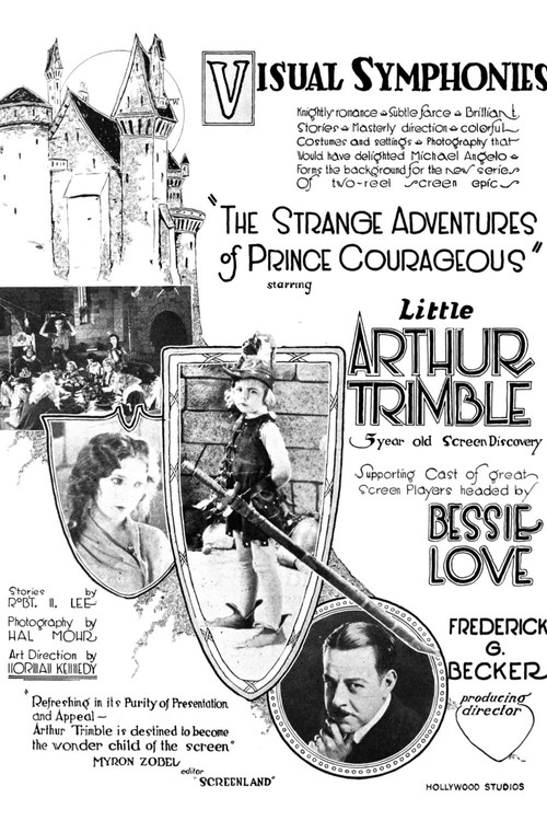 The Strange Adventures of Prince Courageous (1923) poster