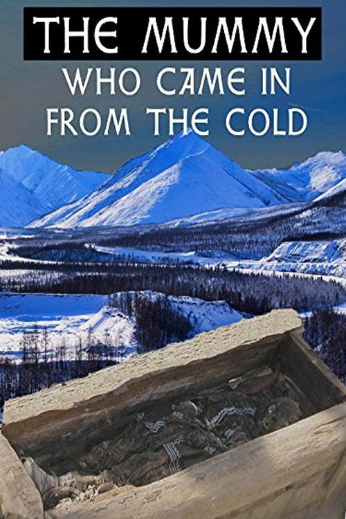 The Mummy Who Came in from the Cold (2007) poster