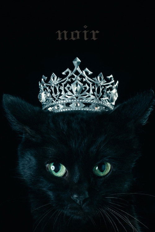 Aimer: Best Selection "noir" (Limited Edition Bonus) (2017) poster