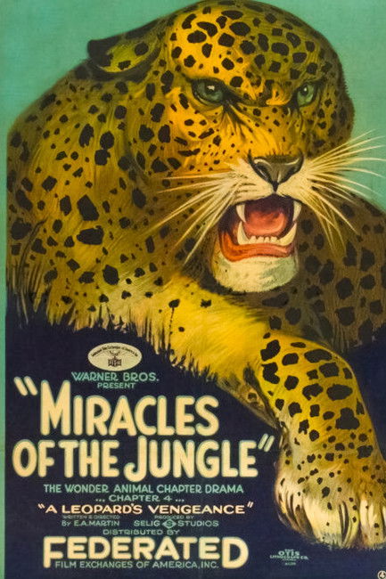 Miracles of the Jungle (1921) poster