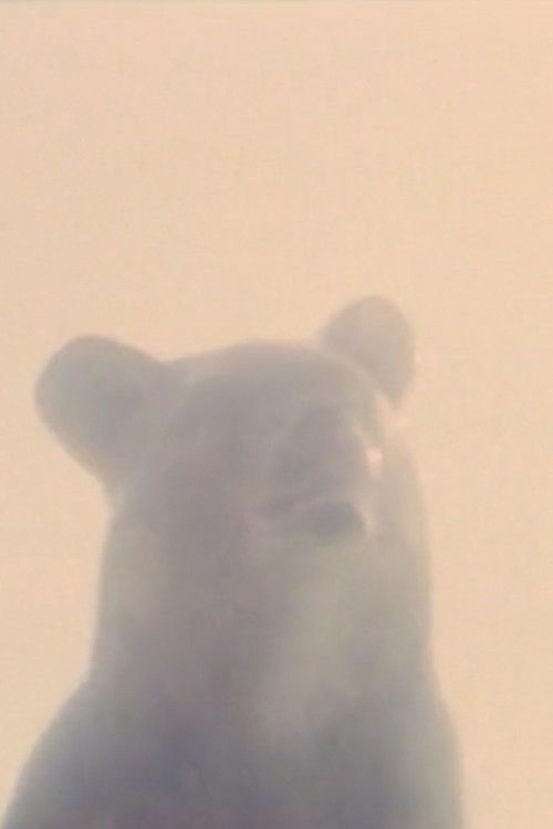 Hotel Tubu (2002) poster