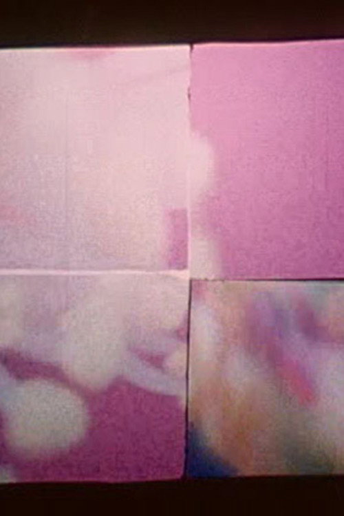 Vernal Obeisance (2003) poster