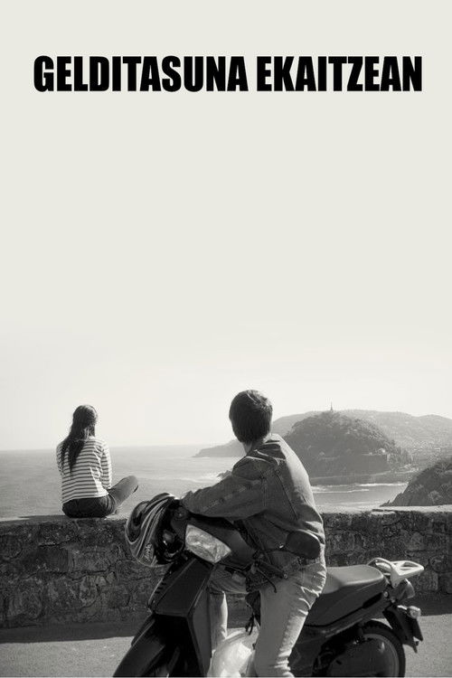 Stillness in the Storm (2022) poster