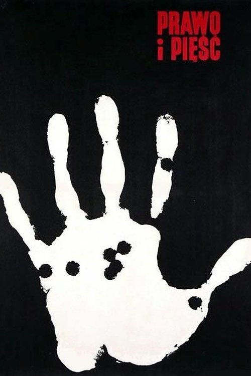 Prawo i pięść (1964) poster